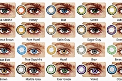 Eye Color Genetics Chart