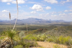 Marfa Panorama